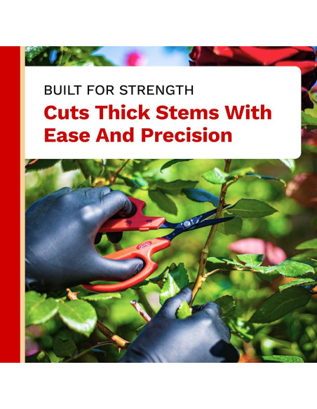 Tijera de Bonsái Angulada The Harvest 15.95 cm Acero Inoxidable