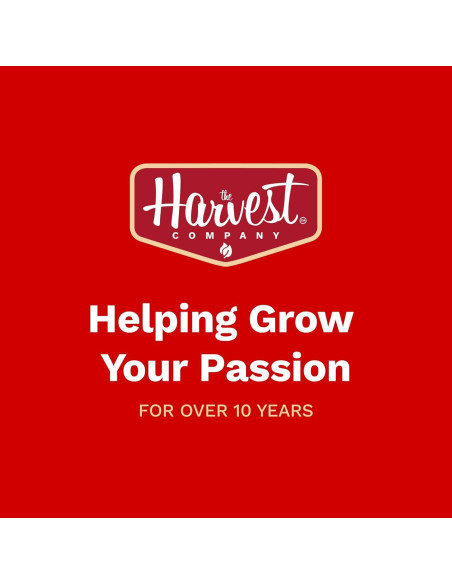 Tijera de Bonsái Angulada The Harvest 15.95 cm Acero Inoxidable