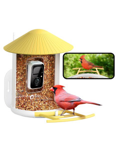 Comedero Inteligente NETVUE Birdfy con Cámara 1080P Amarillo