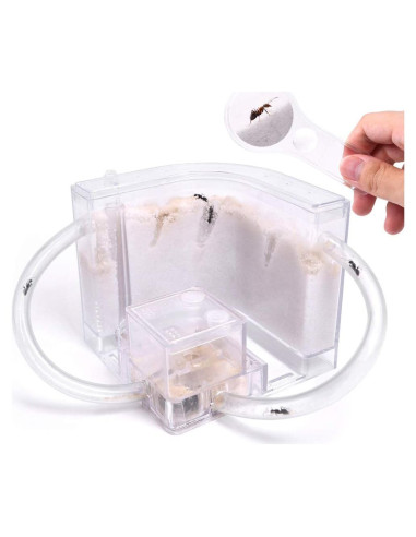 Castillo de Hormigas de Arena NAVAdeal con Tubos Conectores