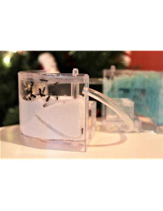 Castillo de Hormigas de Arena NAVAdeal con Tubos Conectores 2