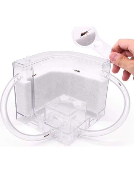 Castillo de Hormigas de Arena NAVAdeal con Tubos Conectores