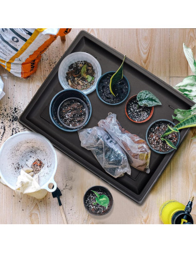 Bandeja de Humedad Pinkunn para Bonsai 39.8x33 cm 2 Pcs