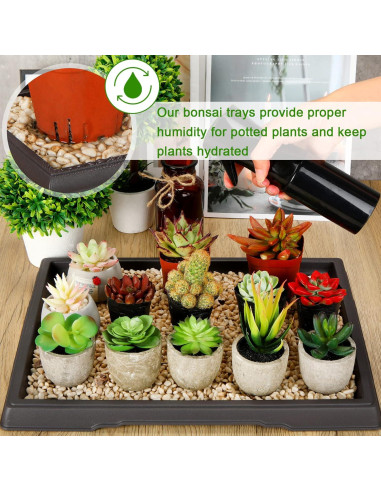 Bandeja de Humedad Pinkunn para Bonsai 39.8x33 cm 2 Pcs