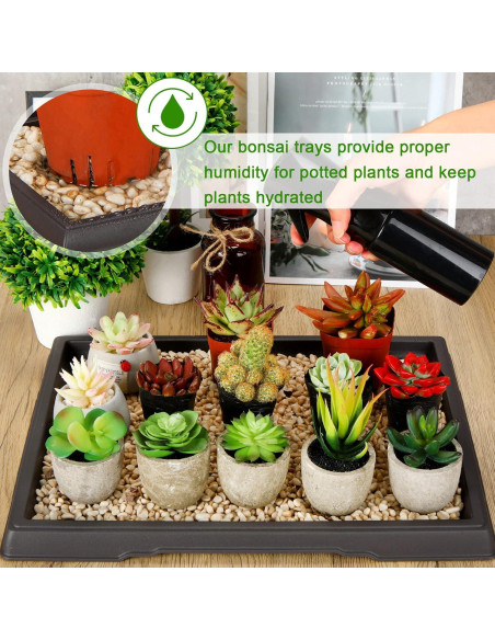 Bandeja de Humedad Pinkunn para Bonsai 39.8x33 cm 2 Pcs