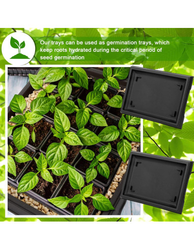 Bandeja de Humedad Pinkunn para Bonsai 39.8x33 cm 2 Pcs