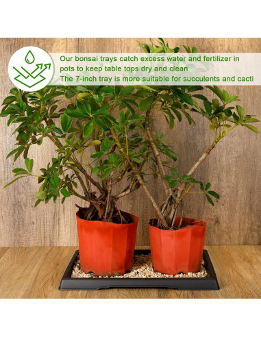 Bandeja de Humedad Pinkunn para Bonsai 39.8x33 cm 2 Pcs