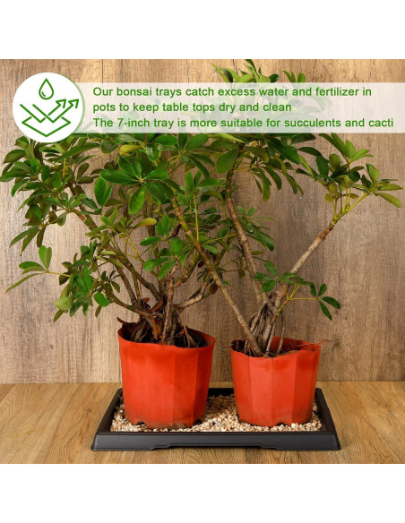 Bandeja de Humedad Pinkunn para Bonsai 39.8x33 cm 2 Pcs