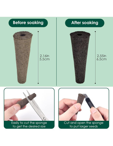 Esponjas de Crecimiento PACETAP 50 Piezas para Jardín Hidropónico