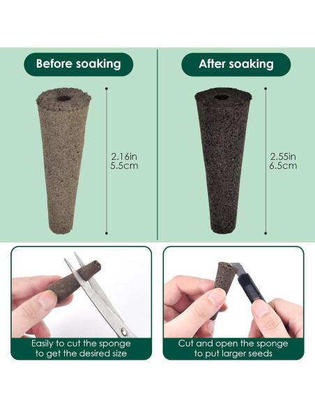 Esponjas de Crecimiento PACETAP 50 Piezas para Jardín Hidropónico