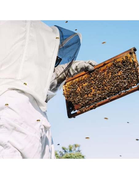 Traje de Apicultor ISIVBPEP con Guantes y Capucha Grande