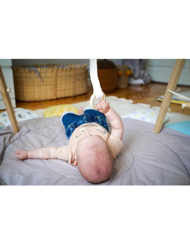 Conjunto de Móviles Montessori para Bebés 0-6 meses