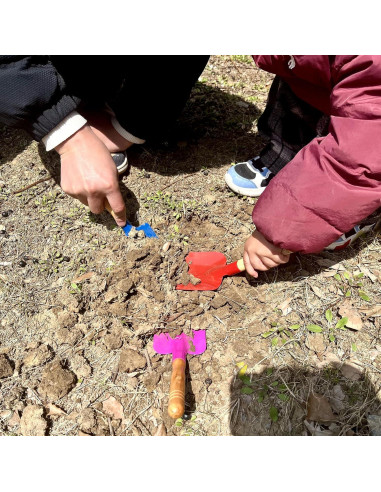 Juego de Herramientas de Jardinería para Niños Delphinus 5 Piezas