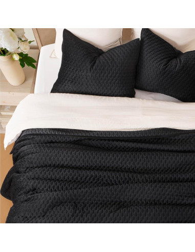 Conjunto de Ropa de Cama de Terciopelo EVERGRACE 3 Piezas Queen Negro