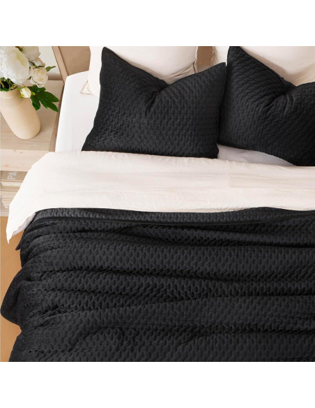 Conjunto de Ropa de Cama de Terciopelo EVERGRACE 3 Piezas Queen Negro