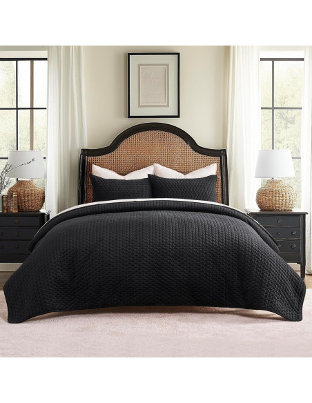 Conjunto de Ropa de Cama de Terciopelo EVERGRACE 3 Piezas Queen Negro