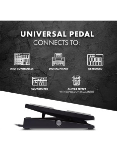 Pedal de Expresión M-Audio EX-P Universal para MIDI 2