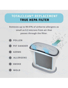 Filtro de Reemplazo HEPA-Tipo Homedics TotalClean AF-10FL 2