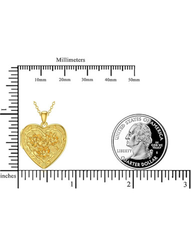 Collar medallón personalizado plata esterlina 925 con fotos