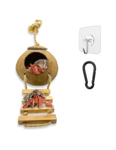 Cueva de Coco Favozio para Cangrejo Ermitaño y Mascotas Pequeñas