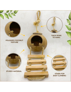 Cueva de Coco Favozio para Cangrejo Ermitaño y Mascotas Pequeñas 2