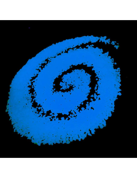 Piedras Brillantes Luminiscentes MLOLM 0.91 kg Azul Cielo Piedras Brillantes Luminiscentes MLOLM 0.91 kg Azul Cielo