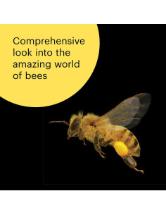 What the Bees See: A Honeybee's Eye View of the World 2