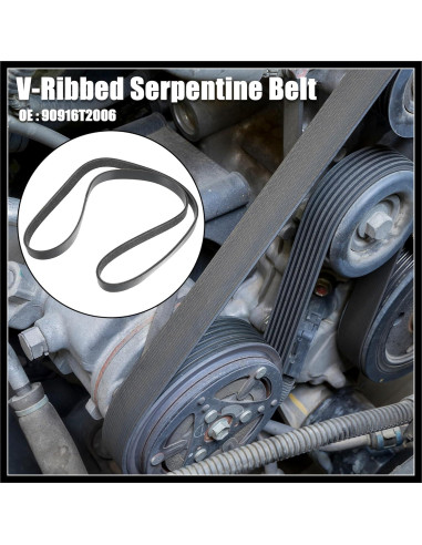 Correa de Transmisión Serpentina Multi V Hihaha 1.545m para Toyota