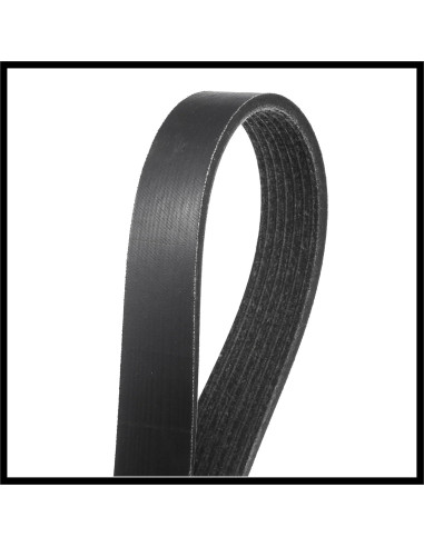 Correa de Transmisión Serpentina Multi V Hihaha 1.545m para Toyota