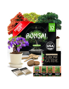 Kit de Bonsai HOME GROWN - Cultiva 4 Árboles - Regalo Único