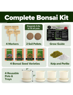 Kit de Bonsai HOME GROWN - Cultiva 4 Árboles - Regalo Único 2