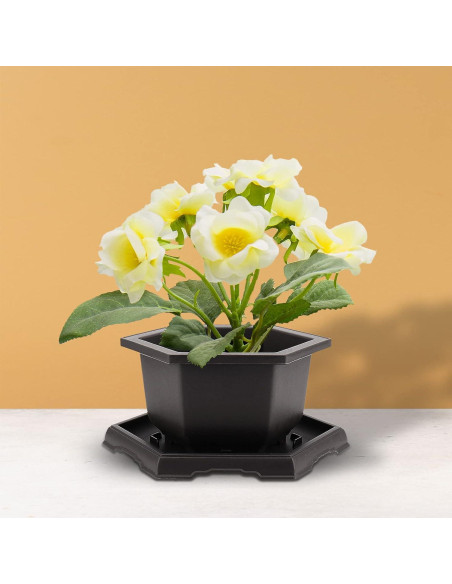 Paquete de 5 macetas de bonsái HEIHAK con bandejas 18,8 cm