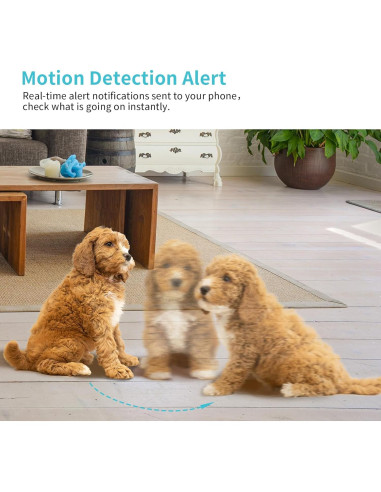 Cámara para Mascotas Armorcope CA48 2K HD con APP y Visión Nocturna