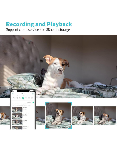 Cámara para Mascotas Armorcope CA48 2K HD con APP y Visión Nocturna