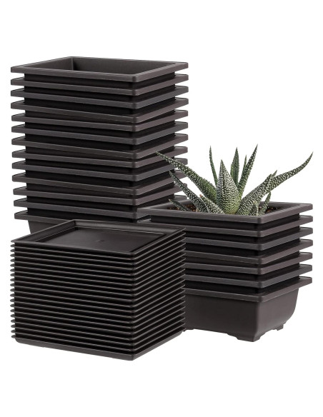 20 Macetas de Plástico para Bonsai 16.5x11.9cm con Bandejas