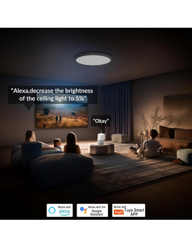 Luz de Techo LED Inteligente TITISLUMP 30,48 cm RGB Control Remoto