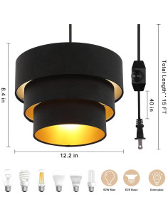 Luz colgante Mateyrie con pantalla negra y regulador 2