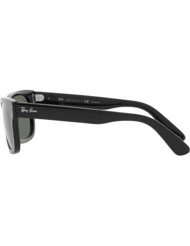 Gafas de sol Ray-Ban RB2283 Mr. Burbank Polarizadas