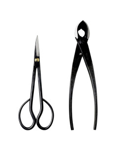Kit de herramientas bonsái Wazakura - Tijeras y cortador 200 mm
