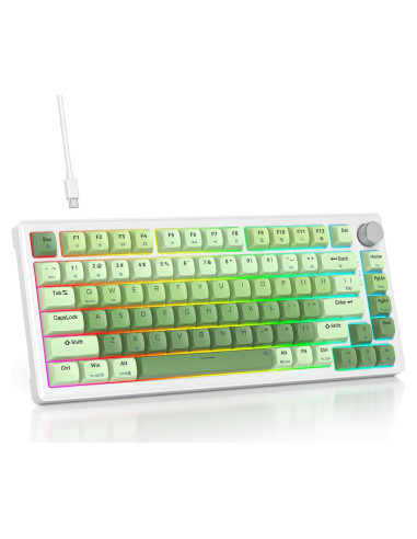 Teclado Mecánico TKL 75% SbocKeeb V500 RGB Verde