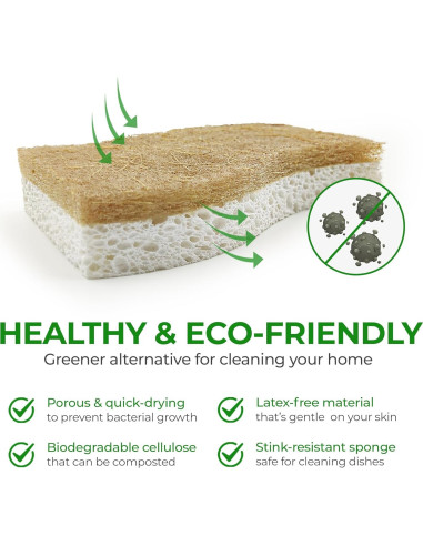 Esponjas de Cocina Ecológicas AIRNEX - 12 Unidades Biodegradables