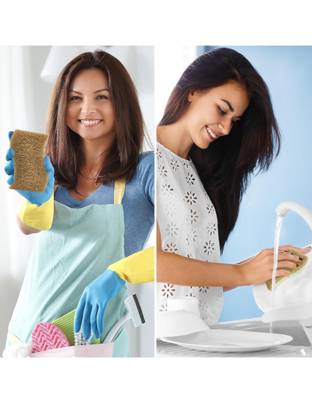 Esponjas de Cocina Ecológicas AIRNEX - 12 Unidades Biodegradables