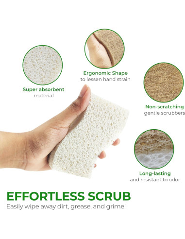 Esponjas de Cocina Ecológicas AIRNEX - 12 Unidades Biodegradables