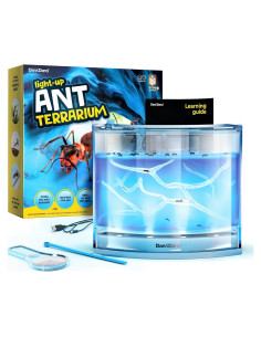 Terrario de Hormigas LED Dan&Darci - Gel Brillante y Libro