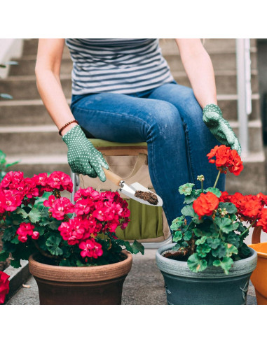 Juego de Herramientas de Jardinería InnoStage 10 Piezas