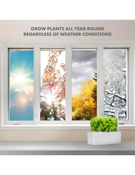 Kit Jardín Inteligente Click & Grow con Luz Crecimiento