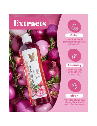 Conjunto Champú Natural y Tratamiento Biotina 500ml