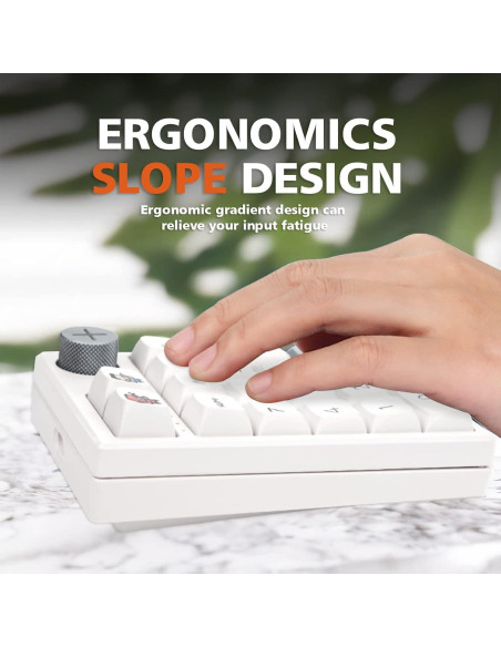 Teclado Numérico Mecánico Inalámbrico Darmoshark K3 Pro RGB