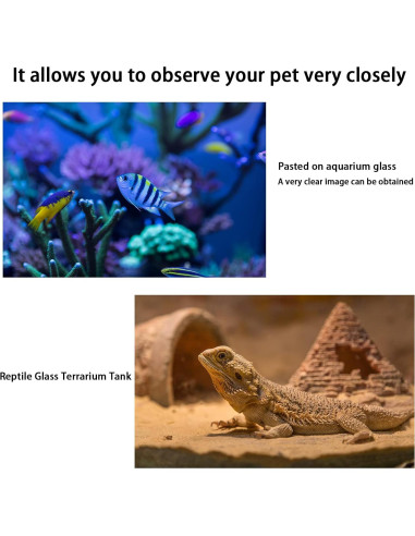 Soporte de Ventana Teccle para Blink Mini, Blanco, 1 Unidad