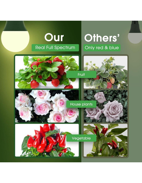 Bombillas LED de Crecimiento Briignite A19 11W Espectro Completo
